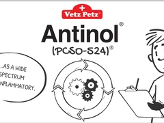 Antinol® 작용기전