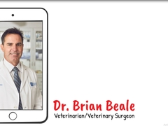 Dr Beale